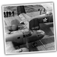 Illustration for article titled The Leader Of One Of The Most Daring Raids Of WWII Survived By Landing In A Huge Pile Of Shit